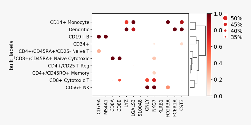 Images/visualizing Marker Genes 21 0 - Circle, HD Png Download, Free Download