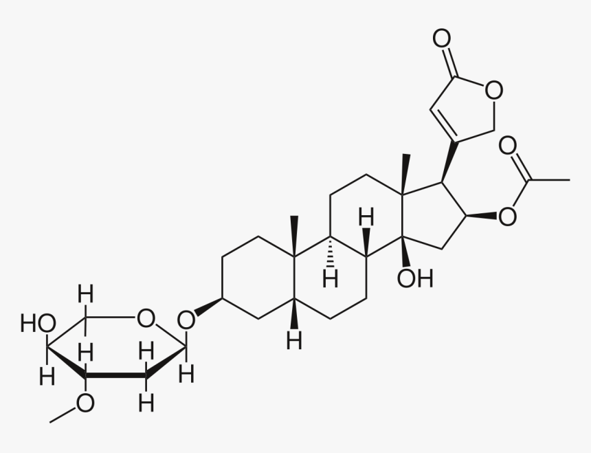 Structure Of Cardiac Glycoside, HD Png Download, Free Download