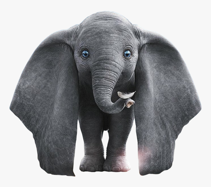 #dumbo #2019 #disney #aesthetic #tumblr #movie #cute - Dumbo 2019 Png, Transparent Png, Free Download