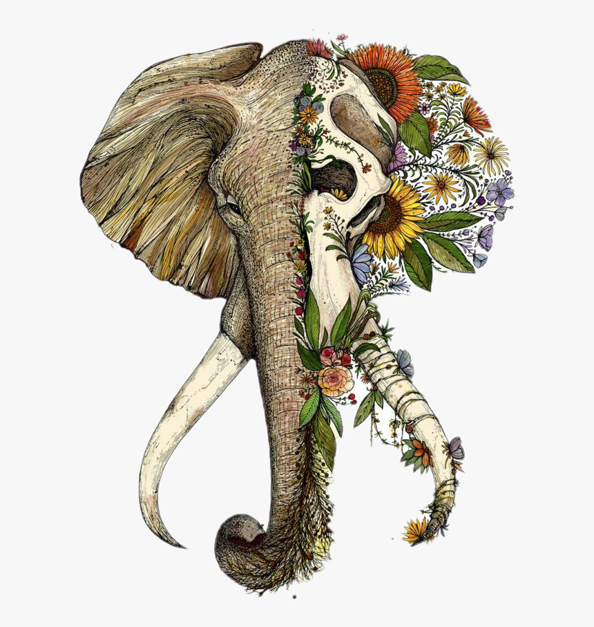 Elephant Half Skull Tattoo, HD Png Download, Free Download