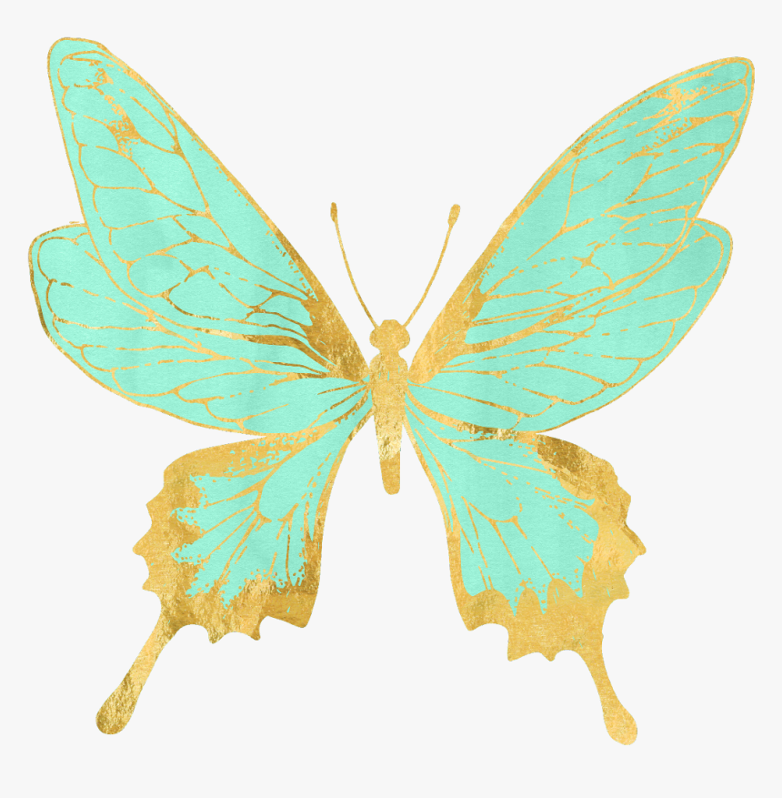 #butterflies #butterfly #pastel #mintgreen #gold #golden - Papilio, HD Png Download, Free Download