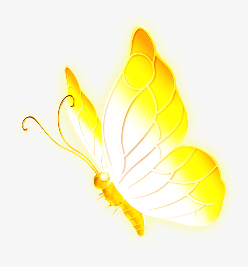 36000 Butterfly Effect Hd Photos Free Download Lovepik Com