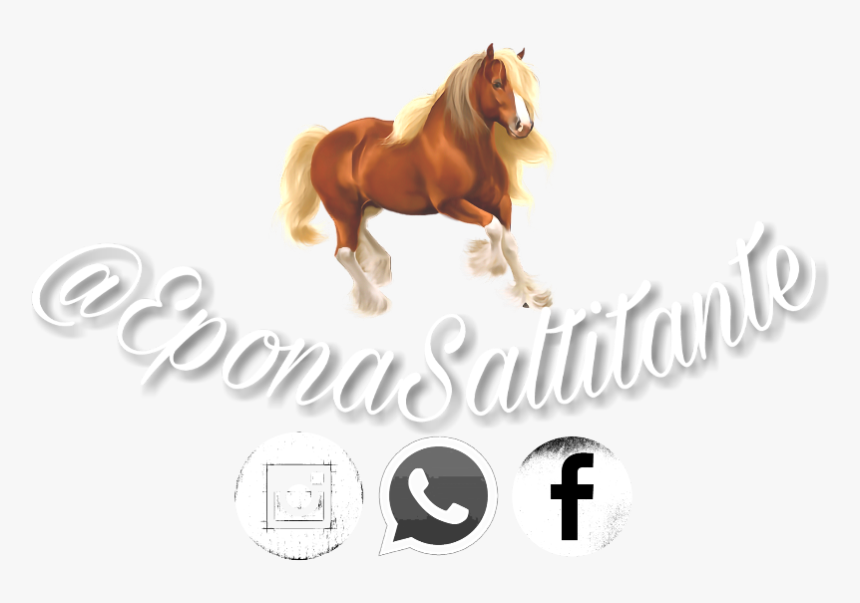 #eponasaltitante #claro - Whatsapp, HD Png Download, Free Download