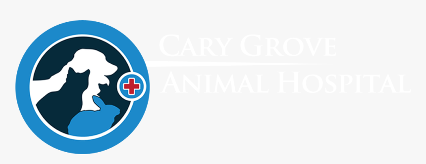 Animal Hospital, HD Png Download, Free Download