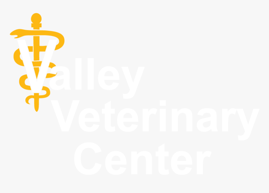 Vet, HD Png Download, Free Download