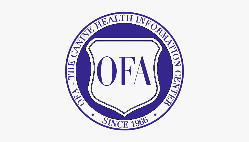 Ofa - University Of Perugia, HD Png Download, Free Download