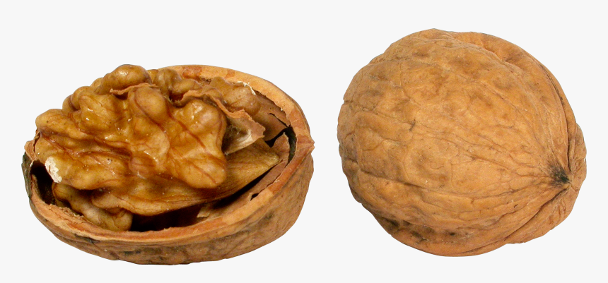 Walnut, HD Png Download, Free Download