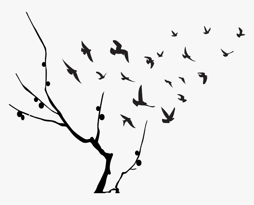 Tamzdezignstrees Archives - Birds And Tree Black Png, Transparent Png, Free Download
