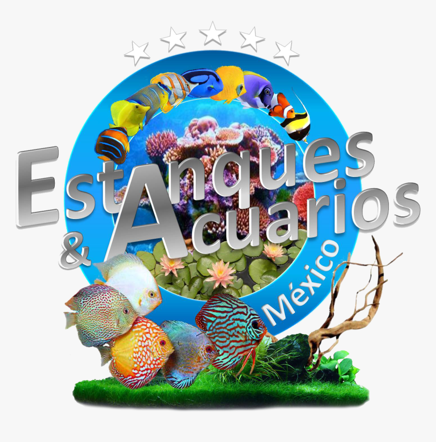 Logo Oficial De Estanques Y Acuarios De Mexico - Discus Tank, HD Png Download, Free Download