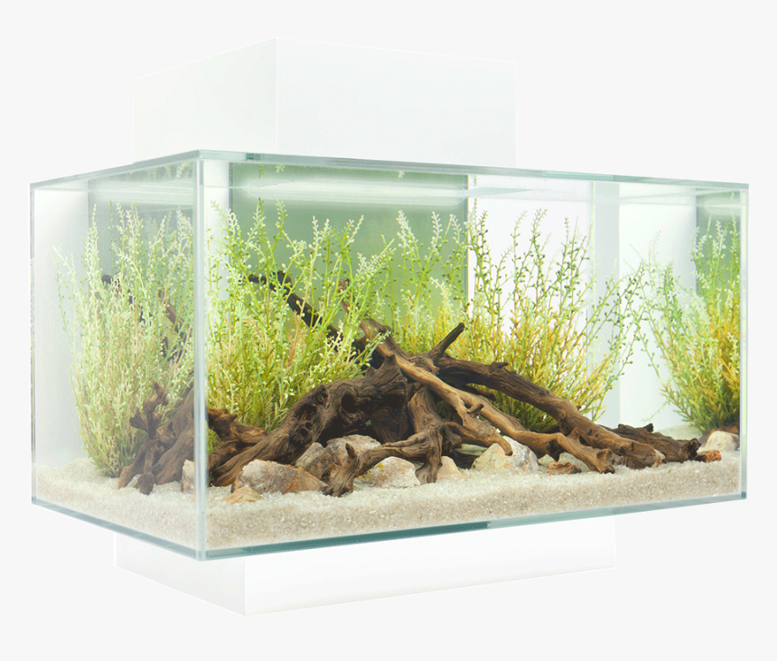 Fluval Edge, HD Png Download, Free Download