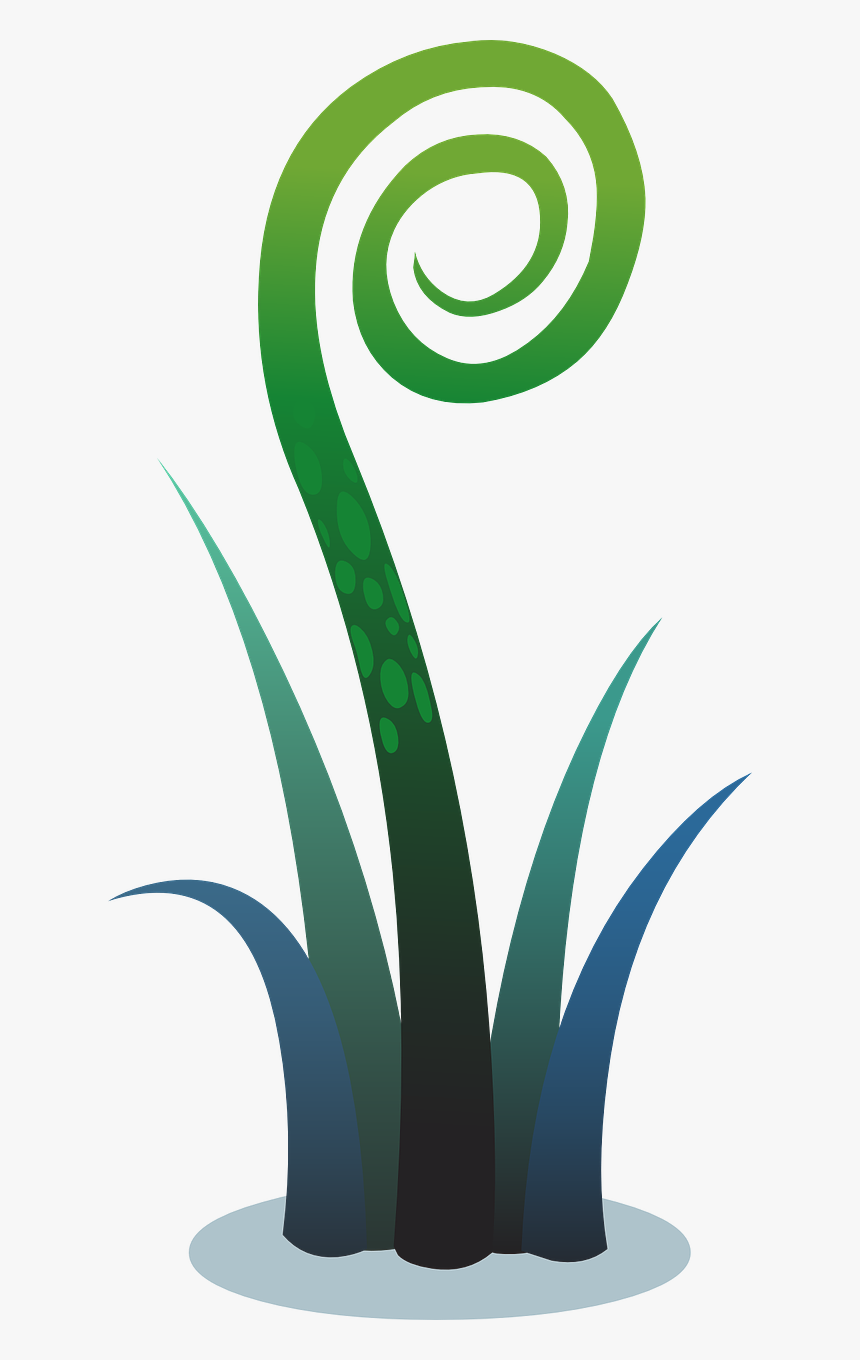 Fern, HD Png Download, Free Download