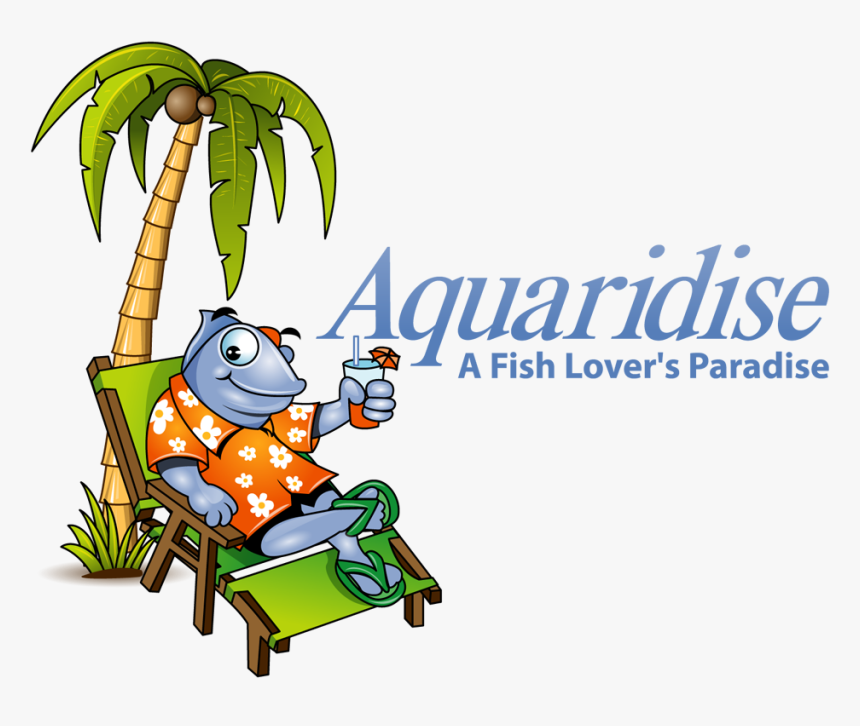 Acuario Png, Transparent Png, Free Download