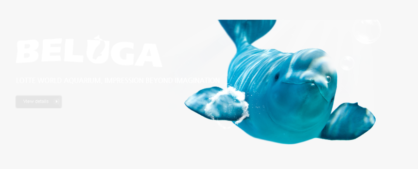 Lotte World Aquarium Logo, HD Png Download, Free Download