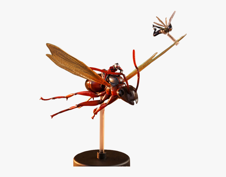 Hot Toys Ant Man And The Wasp Fly, HD Png Download, Free Download
