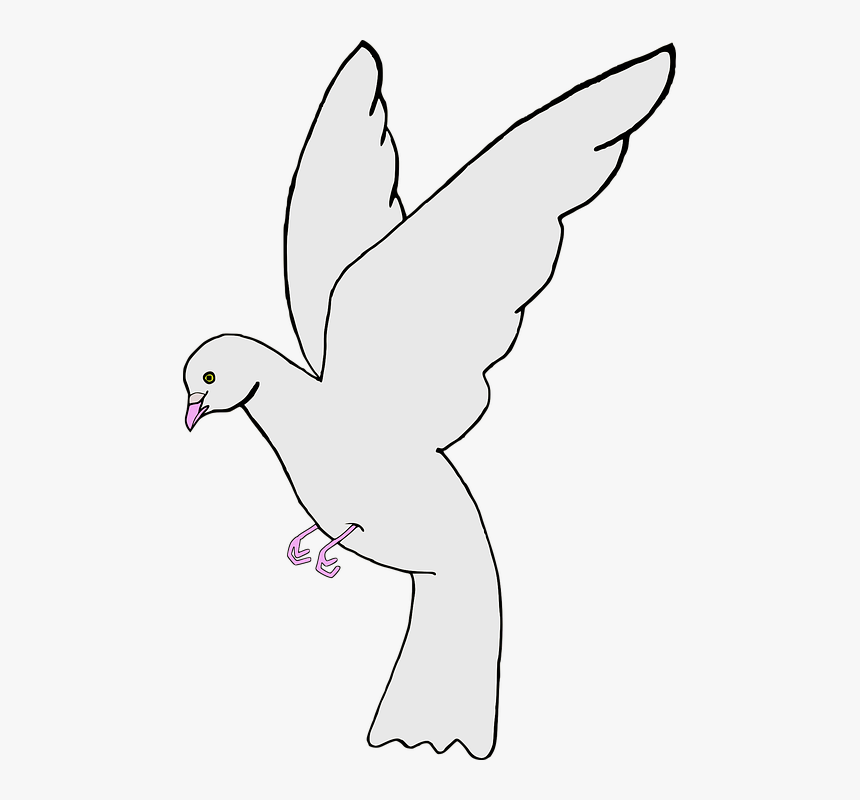 Gambar Sketsa Burung Merpati Putih, HD Png Download, Free Download