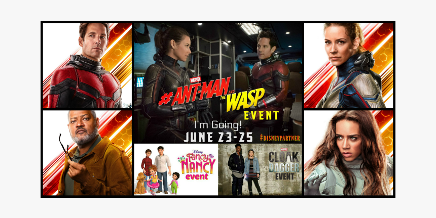 Ant-man And The Wasp Event - Collage, HD Png Download, Free Download