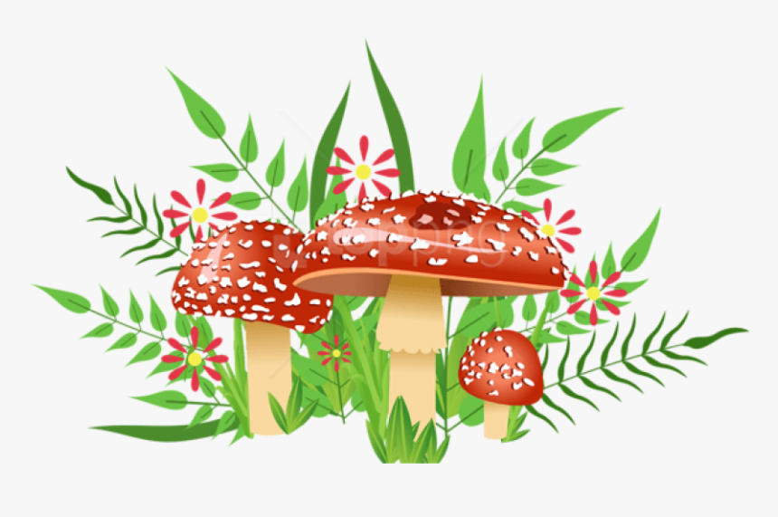 Free Png Download Mushrooms Decorative Element Clipart - Red Orange Flowers Clipart, Transparent Png, Free Download