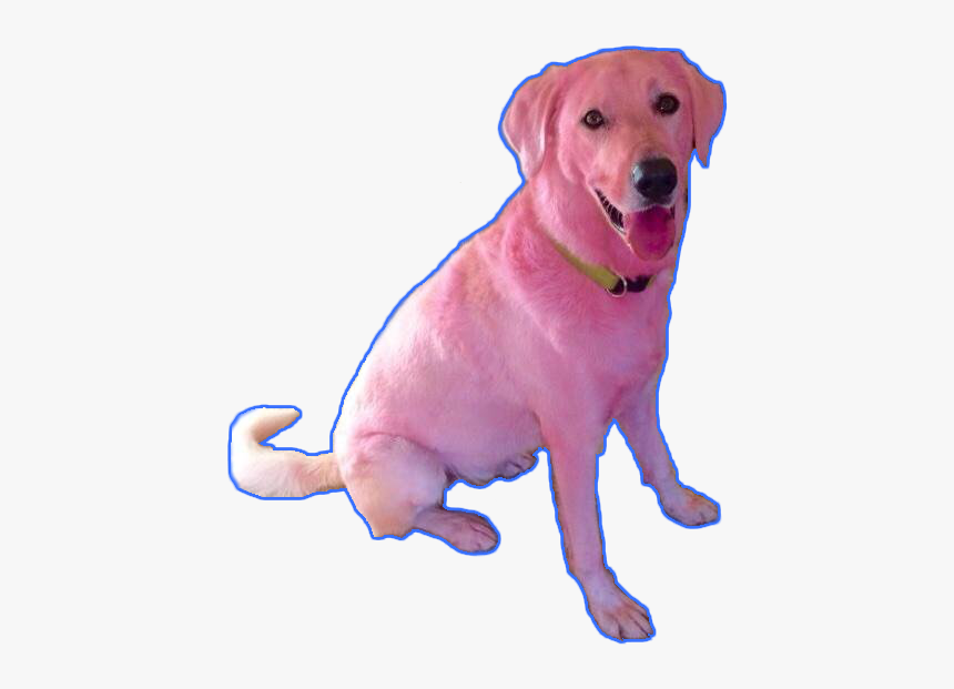 #dog #aesthetic #pink #blue #pinkdog #grunge #tumblr - Clifford The Big Red Dog Irl, HD Png Download, Free Download