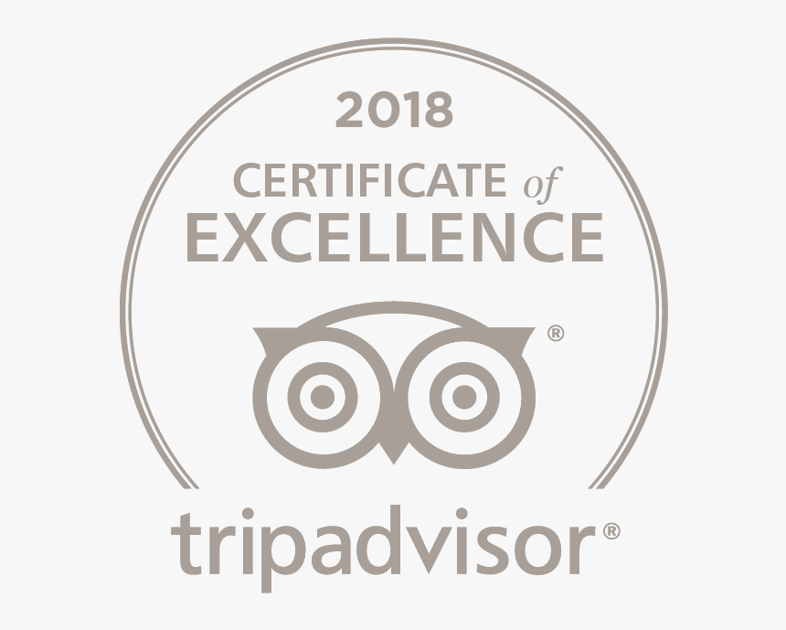 Tripadvisor Certificate Of Excellence Logo Png Grey, Transparent Png, Free Download