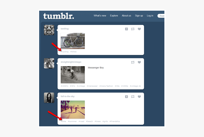 Tumblr Search Results - Tumblr, HD Png Download, Free Download