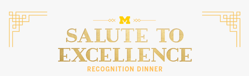 Salute To Excellence Recognition Dinner - Parallel, HD Png Download, Free Download