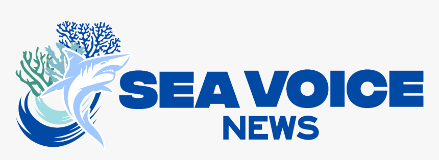 Sea Voice News - Graphic Design, HD Png Download, Free Download