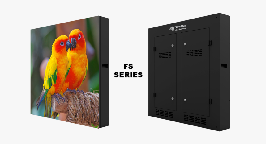 Fs-05 - Macaw, HD Png Download, Free Download