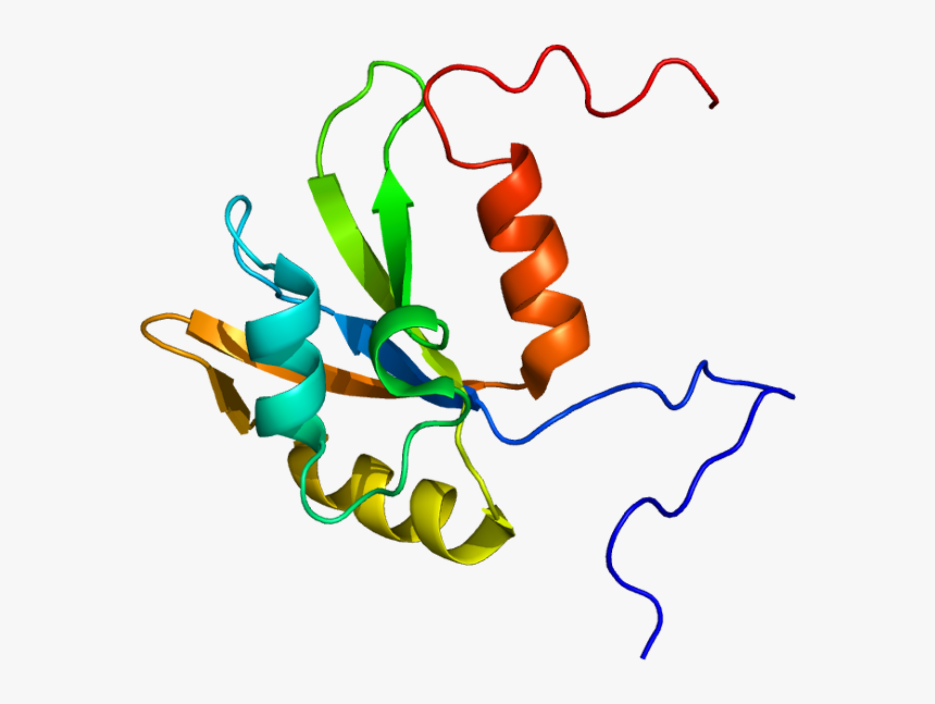 Protein Hnrpf Pdb 2db1 - Graphic Design, HD Png Download, Free Download