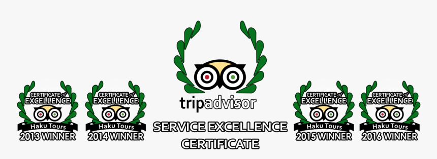 Trip Advisor Award Haku Tours - Tripadvisor, HD Png Download, Free Download