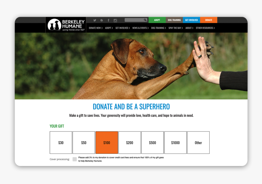 Adding An Engaging Banner Image Is A Great Giving Tuesday - Black Mouth Cur, HD Png Download, Free Download