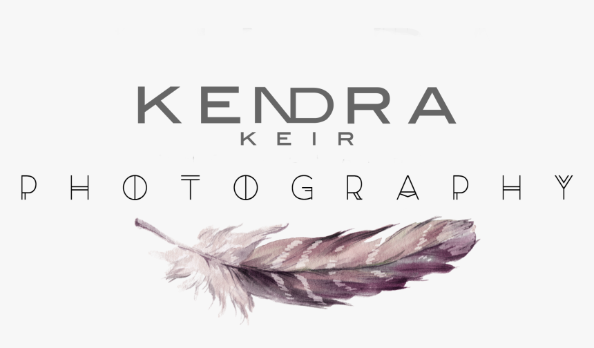 Feather, HD Png Download, Free Download