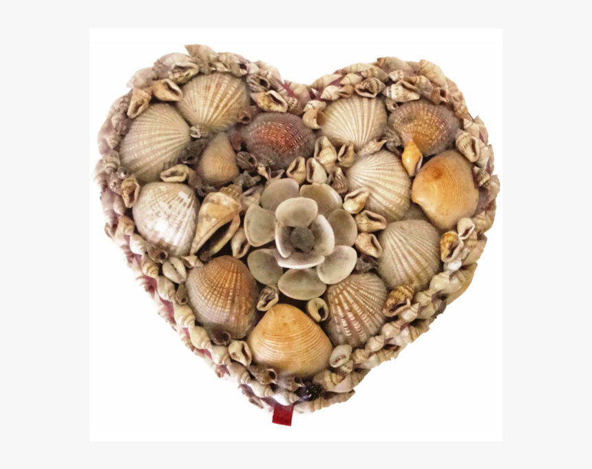 Shell Heart Png, Transparent Png, Free Download