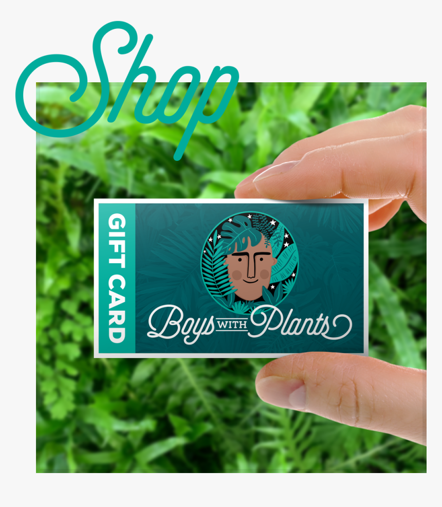 Green Thumbs Up Png, Transparent Png, Free Download