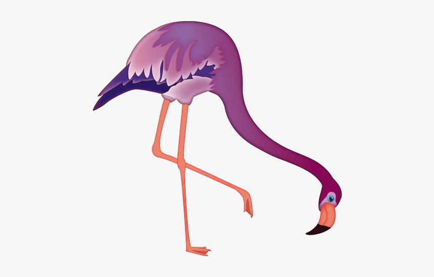 Greater Flamingo, HD Png Download, Free Download