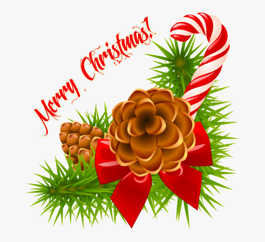 Christmas Celebration Png - Christmas Pine Cones Clipart, Transparent Png, Free Download