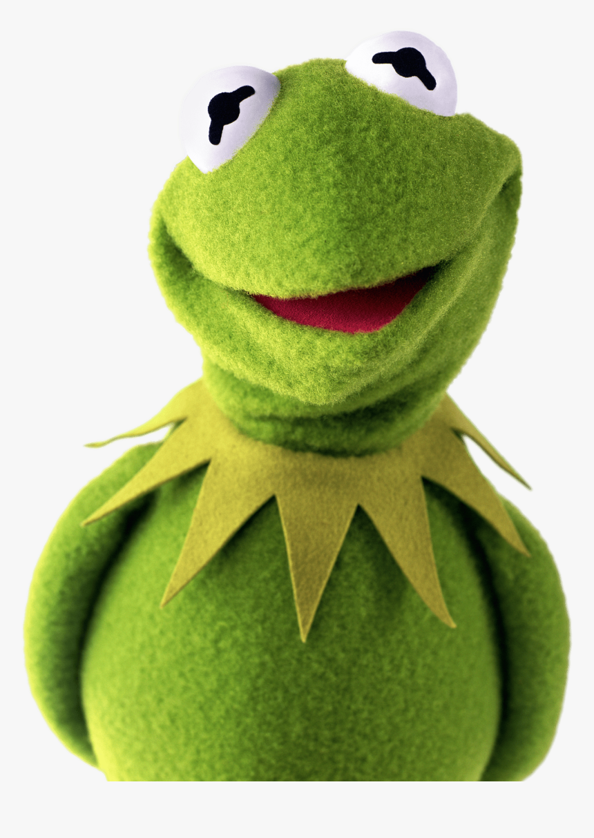 Kermit The Frog Shy - Kermit The Frog, HD Png Download, Free Download