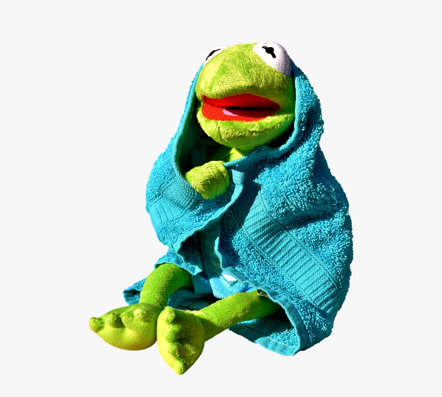 Frog - Kermit The Frog Spa, HD Png Download, Free Download