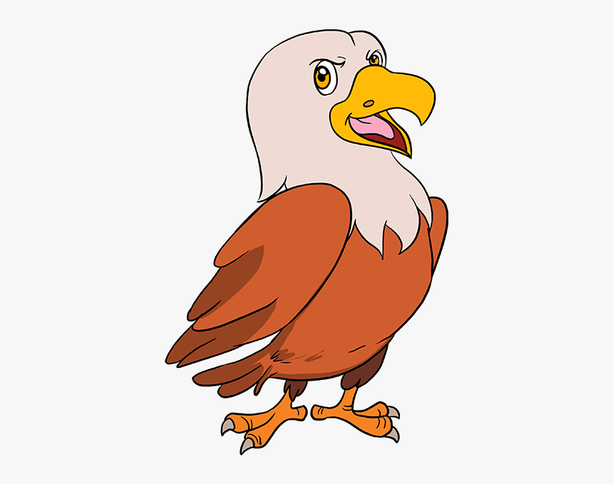 How To Draw Cartoon Hawk - Eagle Drawing Easy Cartoon, HD Png Download, Free Download