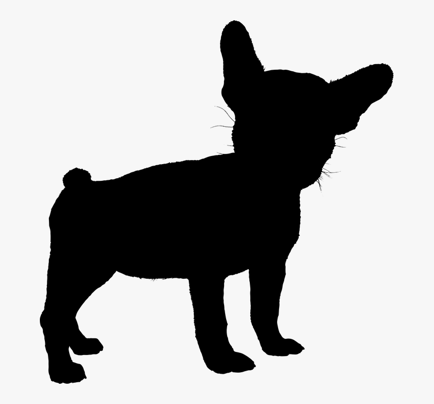Dog, French Bulldog, Bulldog, Pet, Breed, Adorable - Bulldog Frances Vector Black And White Png, Transparent Png, Free Download