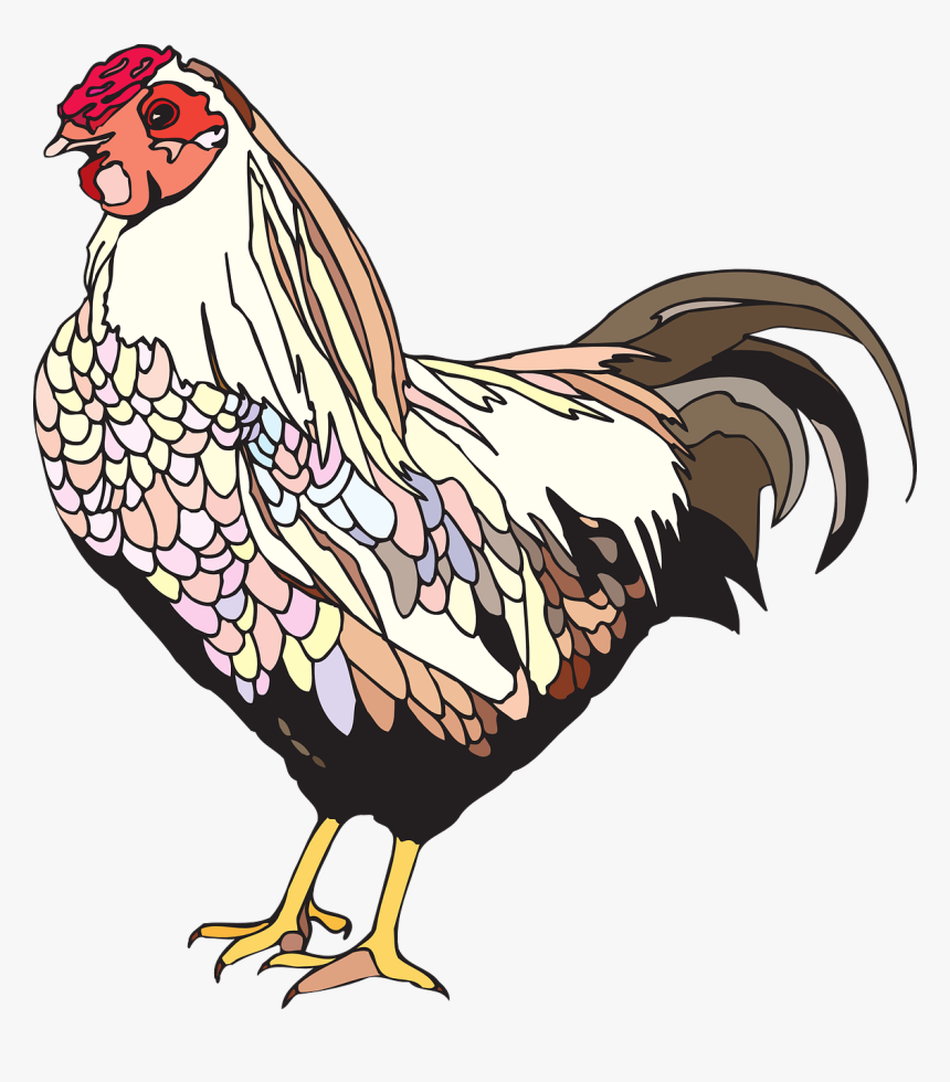 Chicken Png Image, Transparent Png, Free Download