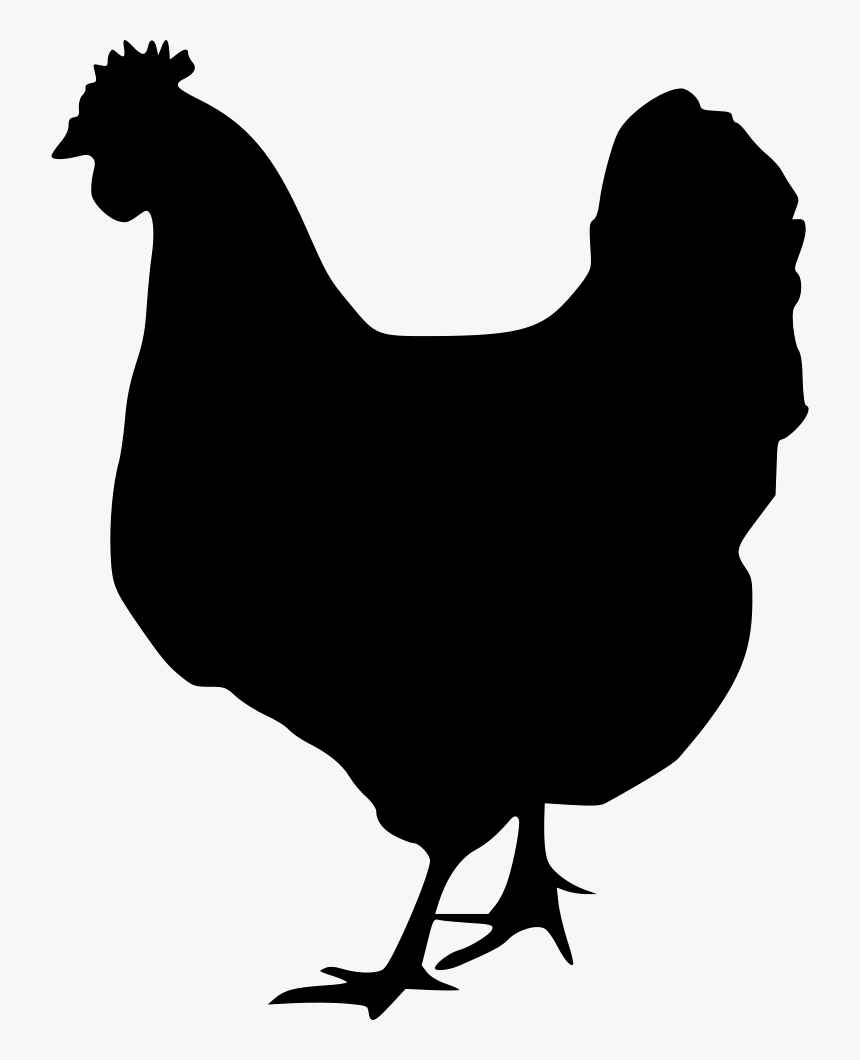 Chicken Rooster Silhouette Clip Art - Black And White Chicken Svg, HD Png Download, Free Download