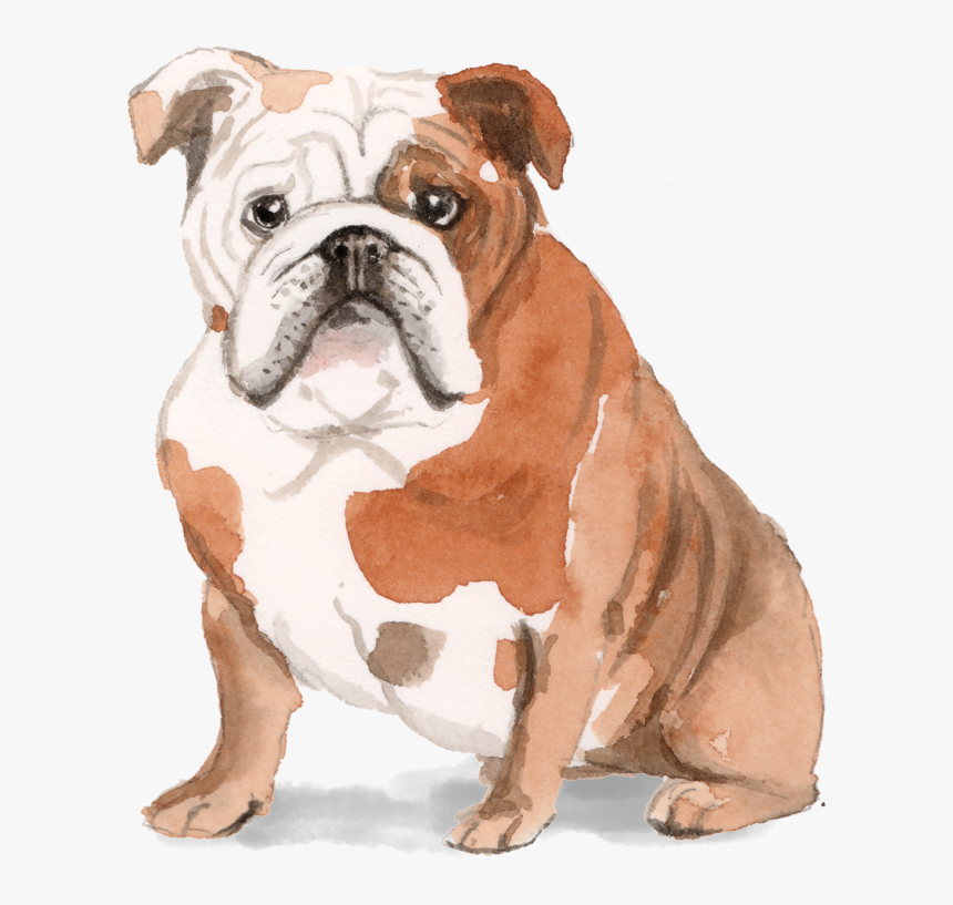 English Bulldog Owner Quote, HD Png Download, Free Download