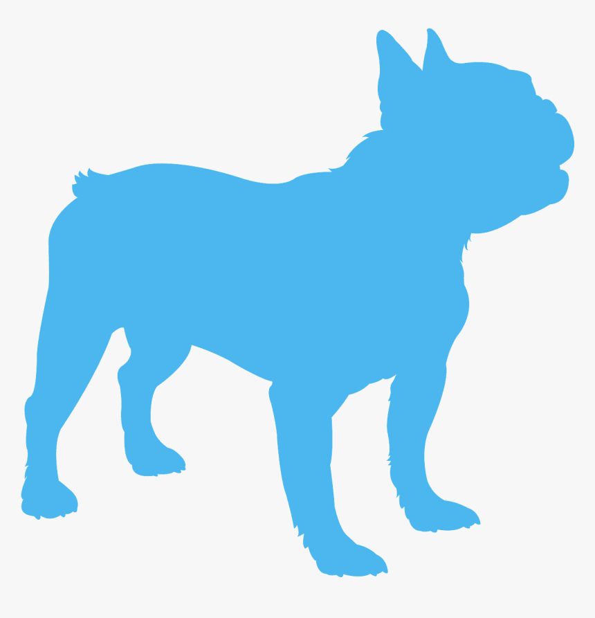 French Bulldog, HD Png Download, Free Download