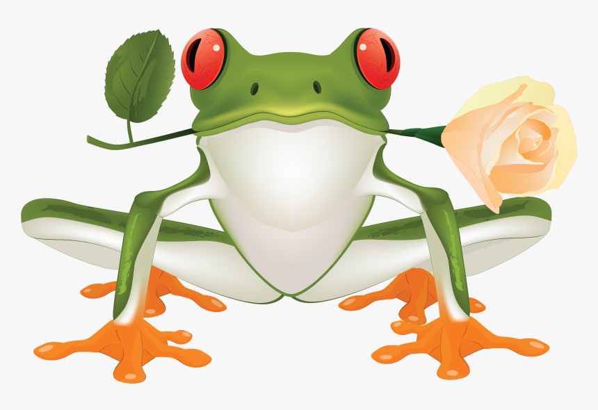 Frog,tree Frog,clip Art,true Frog,hyla,shrub Frog,toad,cartoon,gray - Clip Art Tree Frog, HD Png Download, Free Download