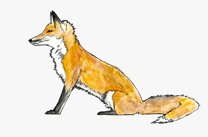 Fox.png, Transparent Png, Free Download