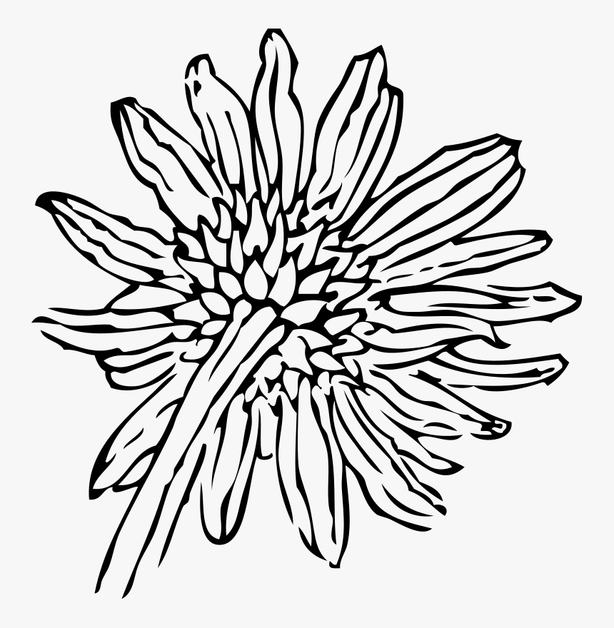 Revolutionary - Clipart - Sunflower Clip Art, HD Png Download, Free Download