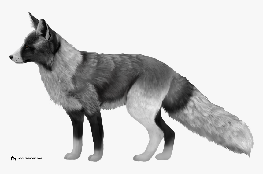 Silver Piebald Fox, HD Png Download, Free Download