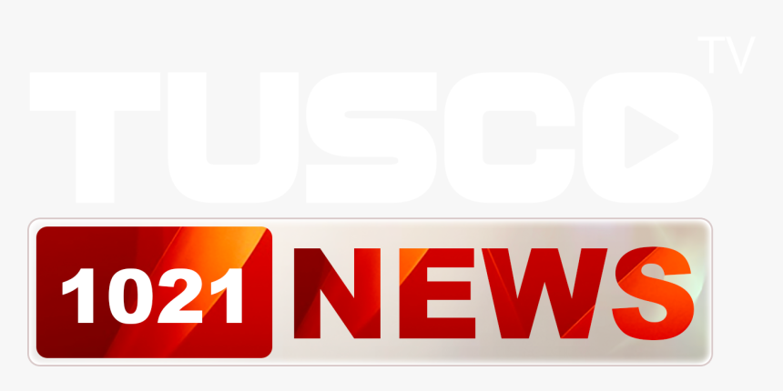 News Logo White - Tv News Logo Png, Transparent Png, Free Download