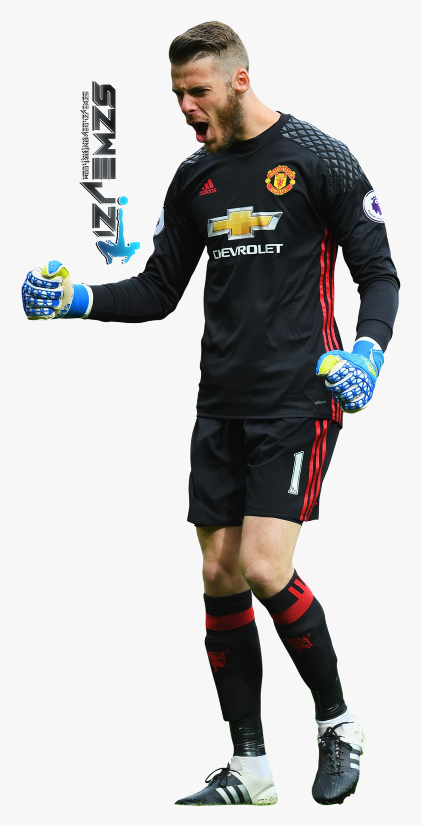 David De Gea Png, Transparent Png, Free Download