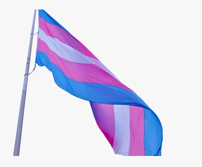 Npp National Progress Party Flag 10 - Trans Flag Flying, HD Png Download, Free Download
